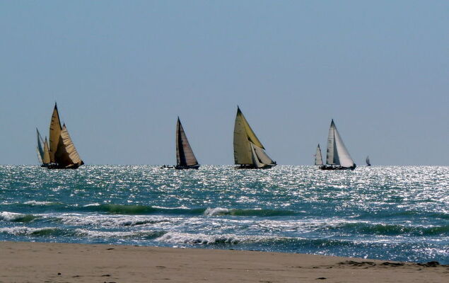 Villa Gino - Photo 39