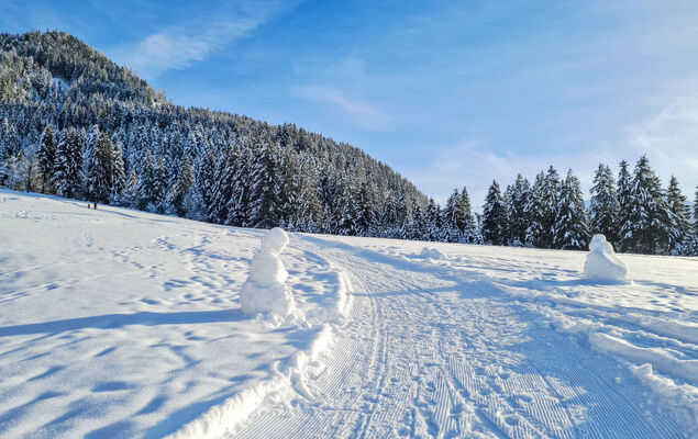 Alpine Qualitytime - Photo 80