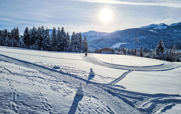 Alpine Qualitytime - Photo 84