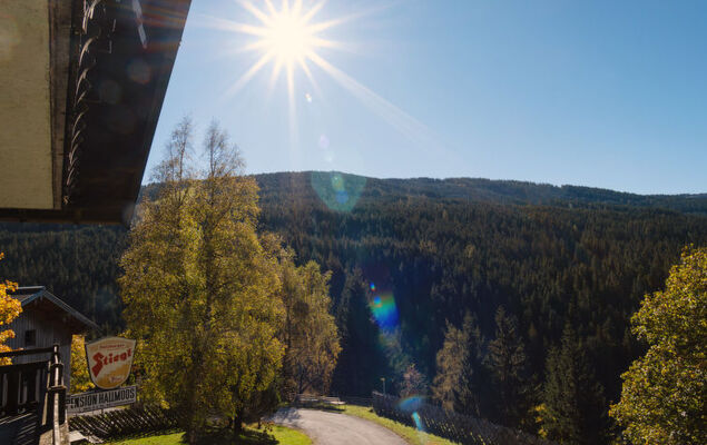 Rossbrand - Photo 12