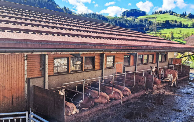 Schönblick Mountain Resort & Spa - Photo 16